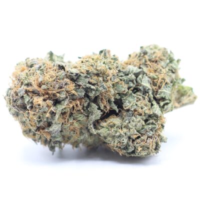 "Alien Bubba cannabis strain in Colorado" "Close-up of Alien Bubba weed buds" "Buy Alien Bubba hybrid strain in CO"