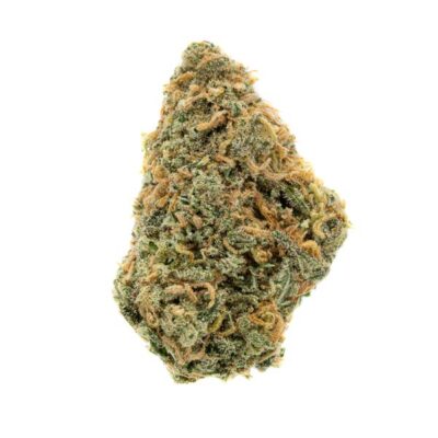 "Critical Orange Punch Cannabis Strain California", "Critical Orange Punch Weed California", "Critical Orange Punch Marijuana California"