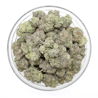 "Dank Schrader cannabis strain in Colorado" "Close-up of Dank Schrader weed buds" "Buy Dank Schrader hybrid strain in CO"