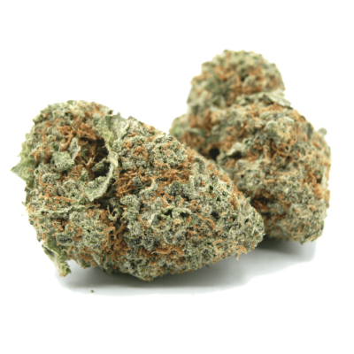 "Mango OG cannabis strain in Colorado" "Close-up of Mango OG weed buds" "Buy Mango OG hybrid strain in CO"