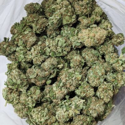 "Afghan Kush cannabis strain in Colorado" "Close-up of Afghan Kush weed buds" "Buy Afghan Kush pure indica strain in CO"